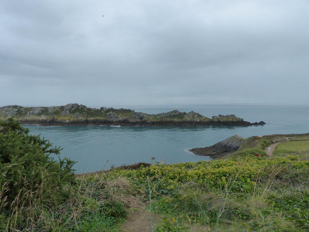 P1150582 1