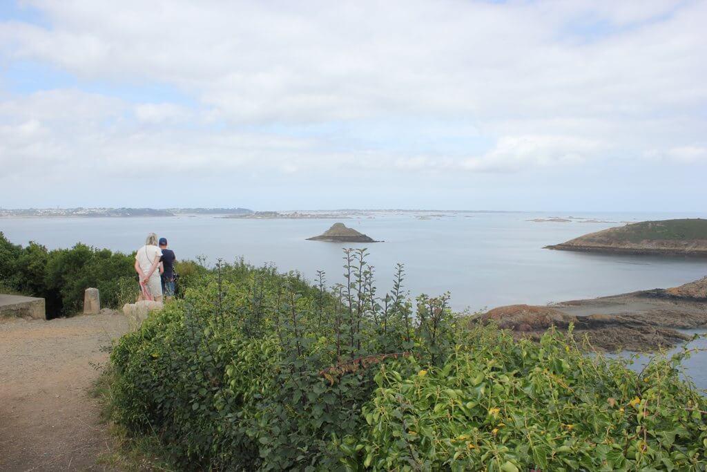 Img 3743