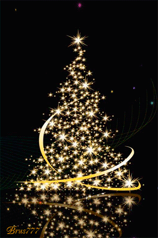 Sapin 1